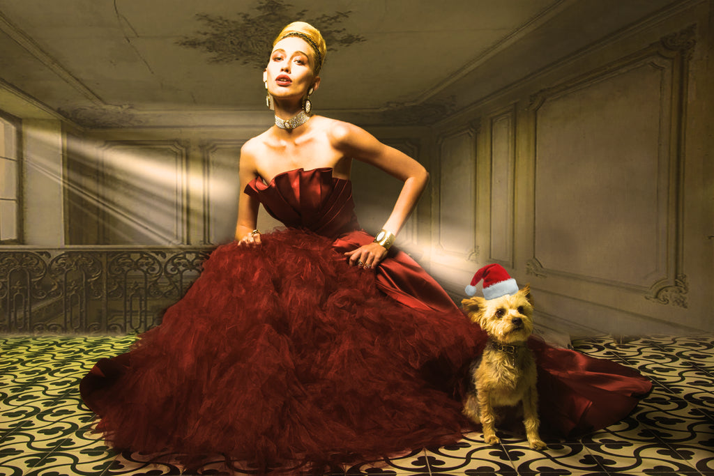 HOLIDAY INSPIRATION - FINN'S FAVS