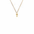 Pink At Heart Charm Necklace - Gold