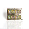 Miraculous Vibe Buckle - VSA Designs